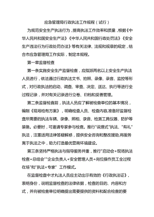 应急管理局行政执法工作规程（试行）.docx