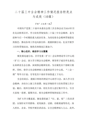 二十届三中全会精神工作情况报告附亮点与成效（10篇）.docx