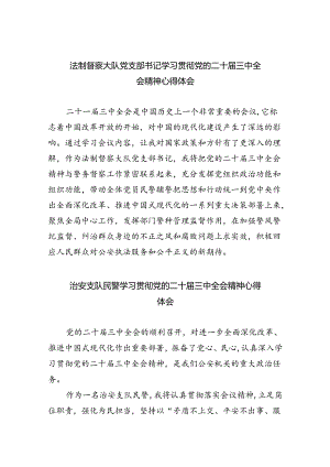 （9篇）法制督察大队党支部书记学习贯彻党的二十届三中全会精神心得体会（精选）.docx