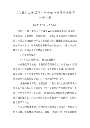 （八篇）二十届三中全会精神阶段总结附下一步打算.docx