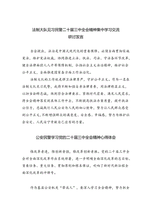 （9篇）法制大队见习民警二十届三中全会精神集中学习交流研讨发言（精选）.docx