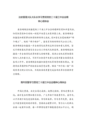 （9篇）治安管理大队大队长学习贯彻党的二十届三中全会精神心得体会（详细版）.docx