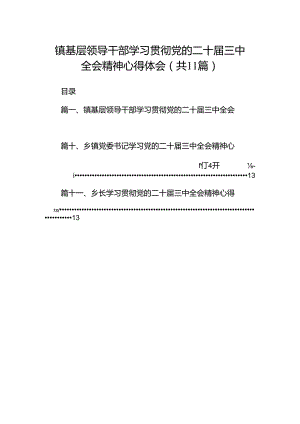 （11篇）镇基层领导干部学习贯彻党的二十届三中全会精神心得体会（精选）.docx