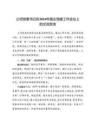 公司党委书记在2024年国企党建工作会议上的交流发言.docx