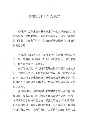 出纳实习生个人总结.docx