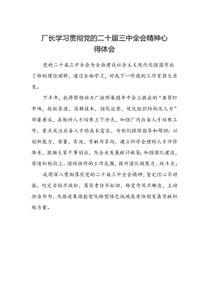 厂长学习贯彻党的二十届三中全会精神心得体会.docx