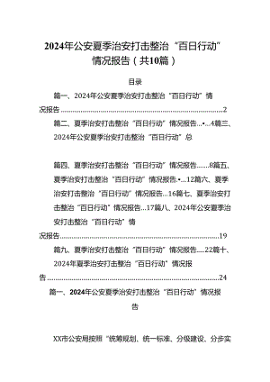 2024年公安夏季治安打击整治“百日行动”情况报告10篇（精选版）.docx