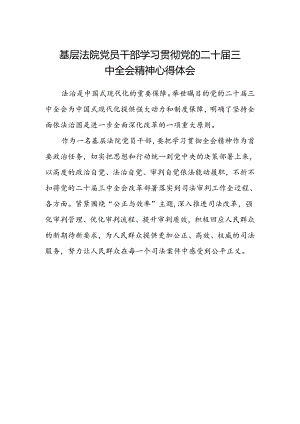 基层法院党员干部学习贯彻党的二十届三中全会精神心得体会.docx