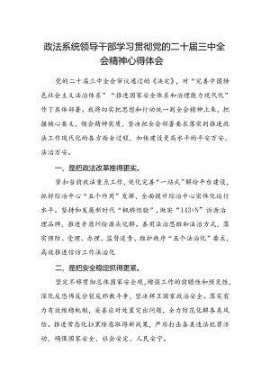 政法系统领导干部学习贯彻党的二十届三中全会精神心得体会.docx