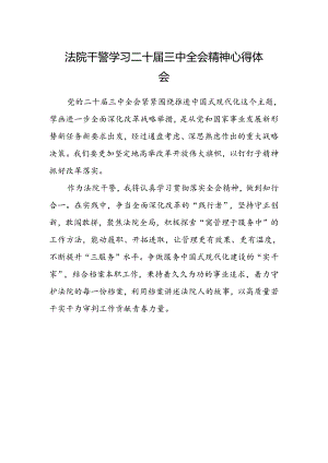 法院干警学习二十届三中全会精神心得体会范文.docx