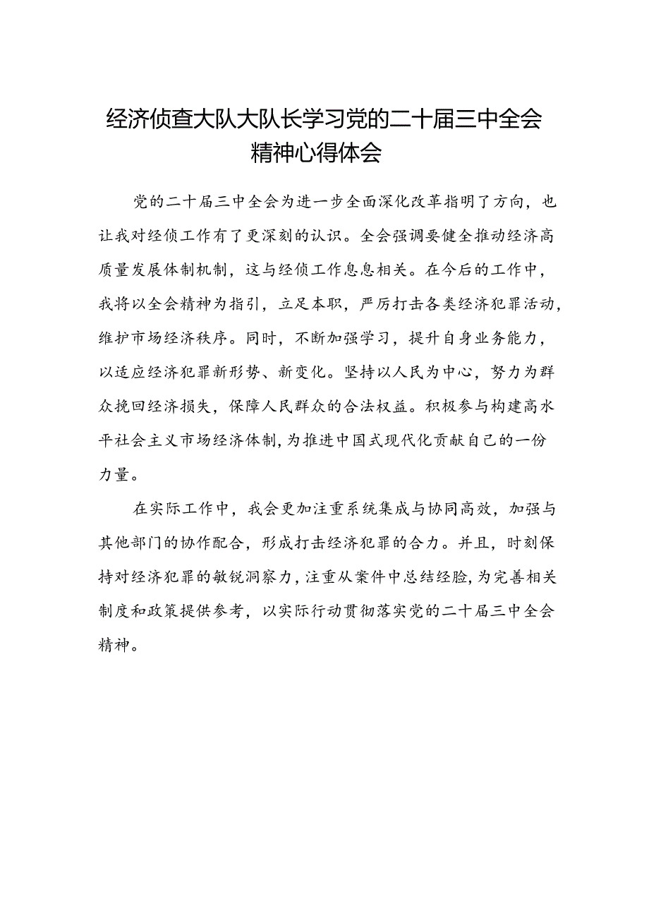 经济侦查大队大队长学习党的二十届三中全会精神心得体会.docx_第1页