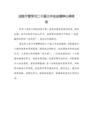 法院干警学习二十届三中全会精神心得体会精选.docx