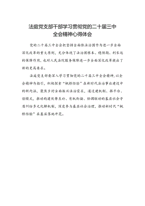 法庭党支部干部学习贯彻党的二十届三中全会精神心得体会.docx