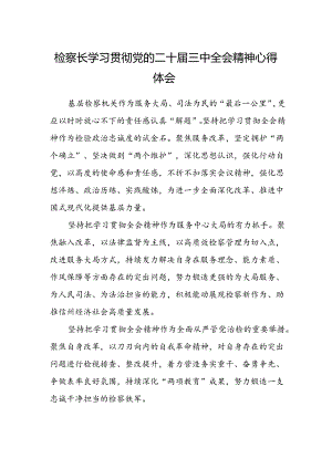 检察长学习贯彻党的二十届三中全会精神心得体会 .docx