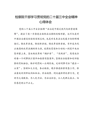 检察院干部学习贯彻党的二十届三中全会精神心得体会.docx