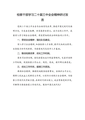 检察干部学习二十届三中全会精神研讨发言.docx