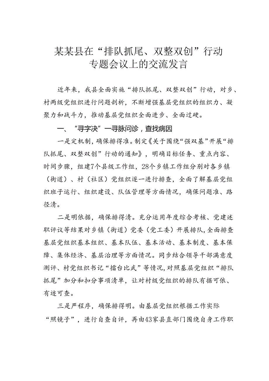 某某县在“排队抓尾、双整双创”行动专题会议上的交流发言.docx_第1页