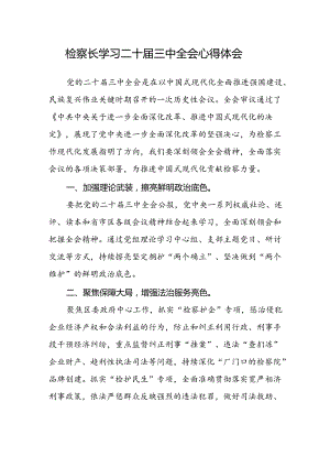 检察长学习二十届三中全会心得体会.docx