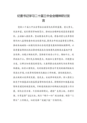 纪委书记学习二十届三中全会精神研讨发言.docx