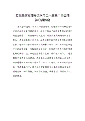 监狱基层支部书记学习二十届三中全会精神心得体会范文.docx