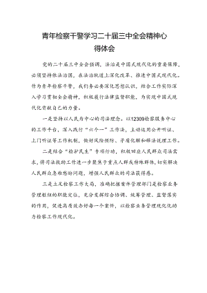 青年检察干警学习二十届三中全会精神心得体会.docx