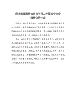 经济条线刑事检察官学习二十届三中全会精神心得体会.docx