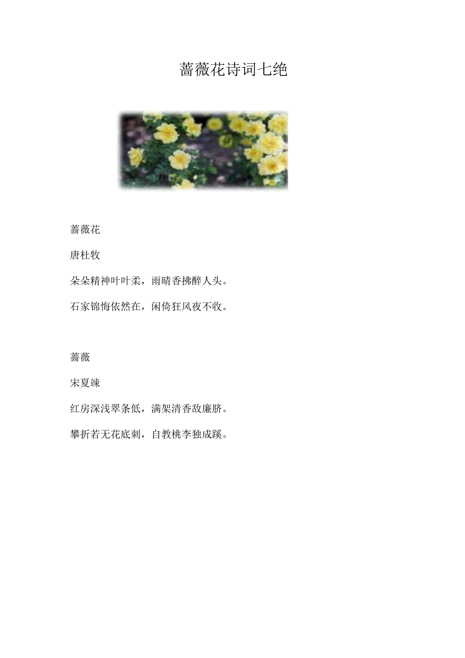 蔷薇花诗词七绝.docx_第1页