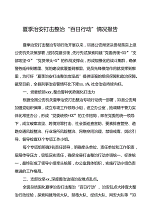 公安夏季治安打击整治工作总结报告十四篇.docx