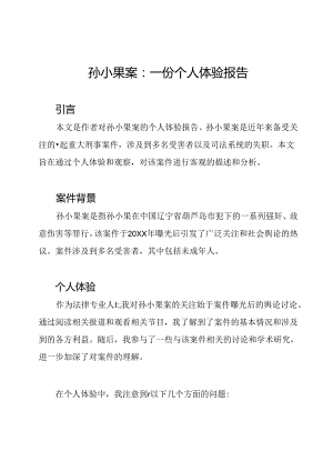 孙小果案：一份个人体验报告.docx