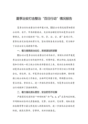 2024年夏季铁路治安打击整治“百日行动”总结报告10篇.docx