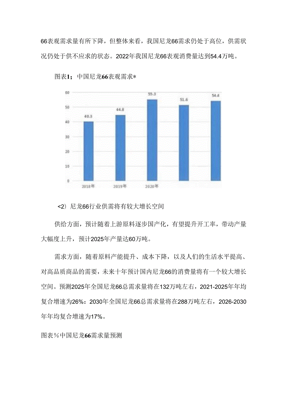 尼龙66生产基地项目可行性研究报告立项报告.docx_第2页