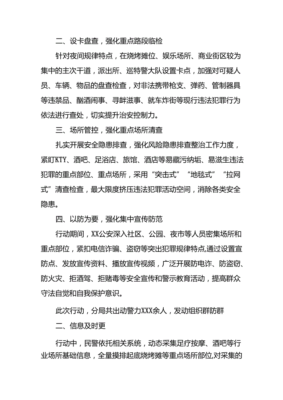 2024年公安夏季治安打击整治行动情况报告精选范文十篇.docx_第3页