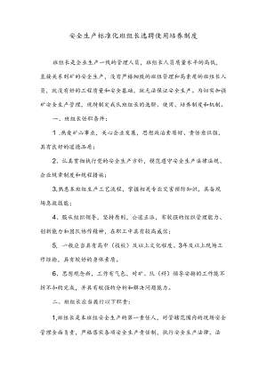 安全生产标准化班组长选聘使用培养制度.docx