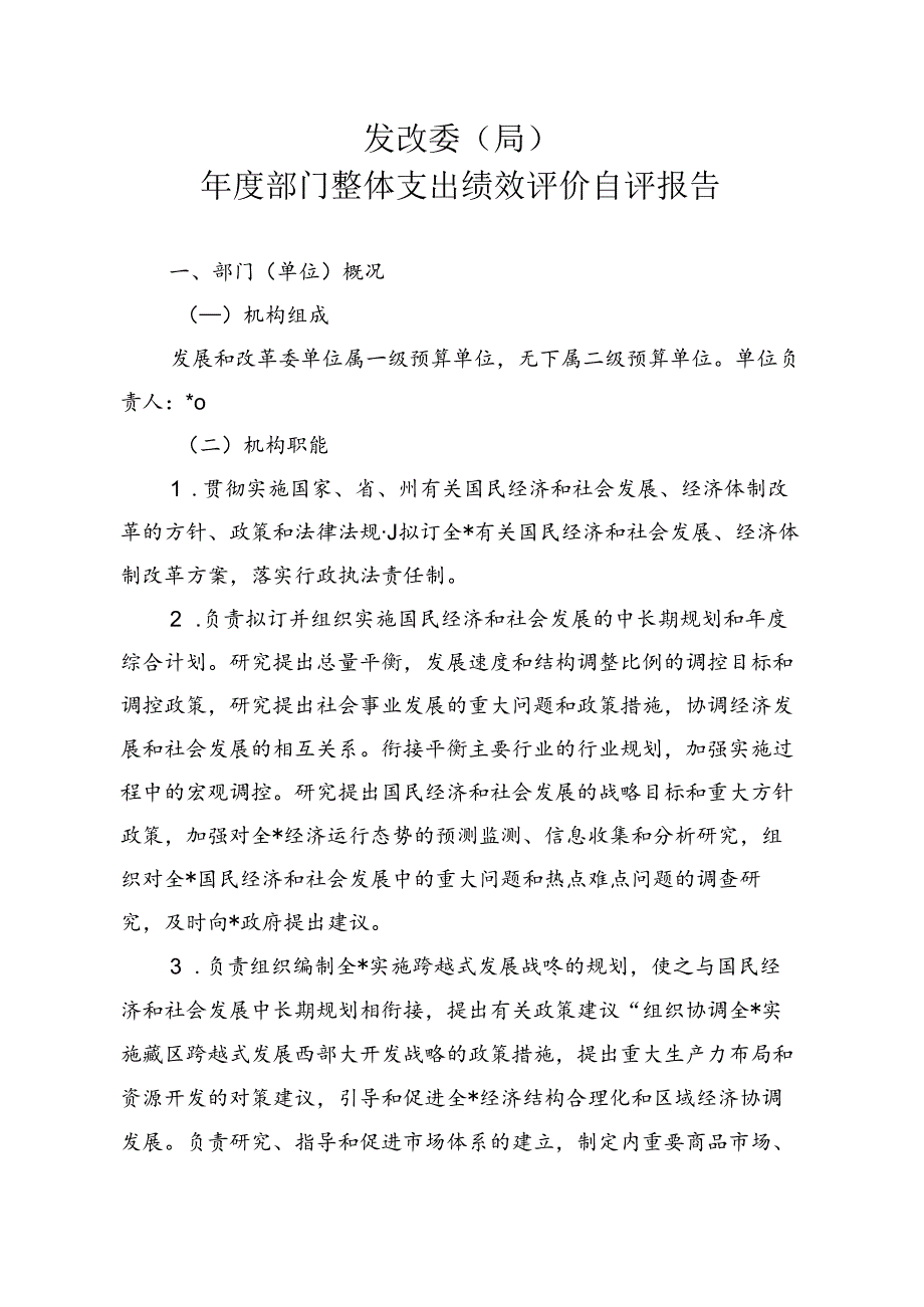 发改委（局）年度部门整体支出绩效评价自评报告.docx_第1页