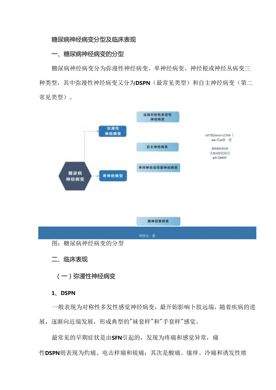 国家基层糖尿病神经病变诊治指南（2024版）重点整理.docx_第2页