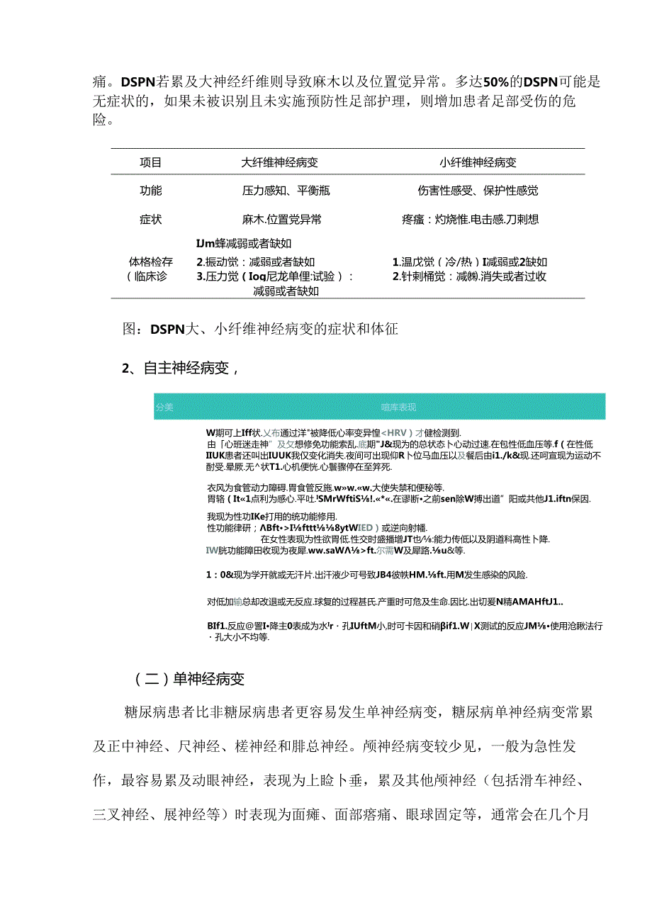 国家基层糖尿病神经病变诊治指南（2024版）重点整理.docx_第3页