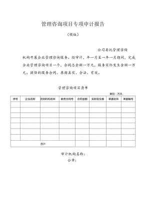 管理咨询项目专项审计报告 （模版）.docx