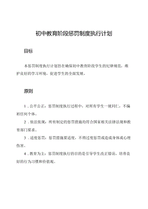 初中教育阶段惩罚制度执行计划.docx