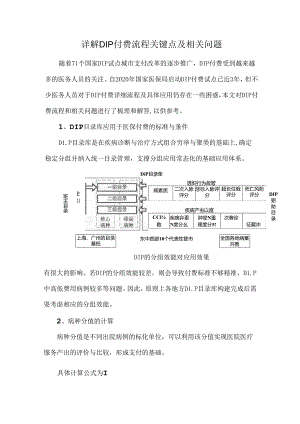 详解DIP付费流程关键点及相关问题.docx