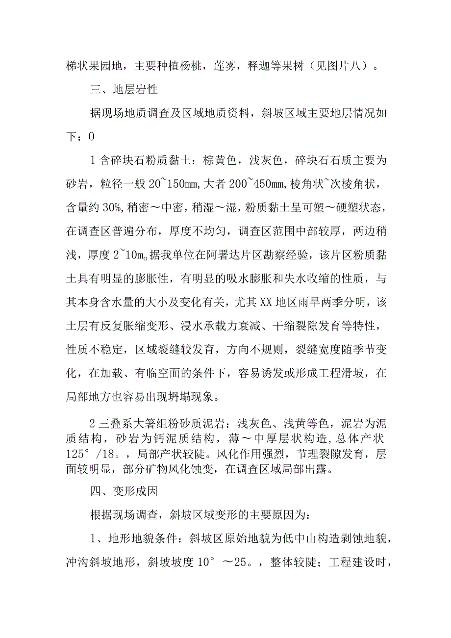 滑坡调查报告格式.docx_第3页