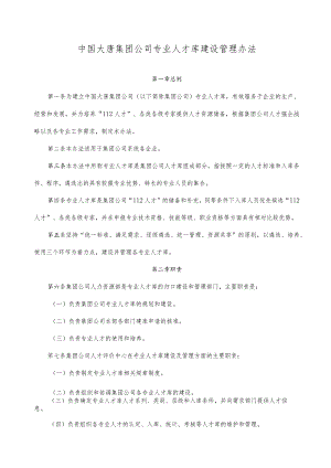 中国大唐集团公司专业人才库建设管理办法.docx