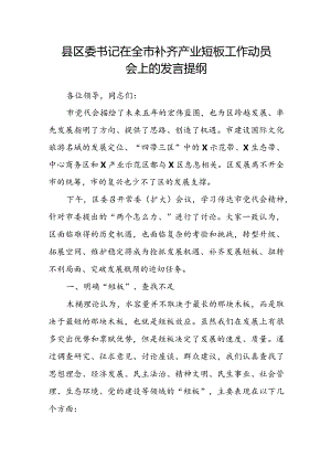 县区委书记在全市补齐产业短板工作动员会上的发言提纲.docx