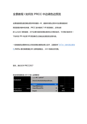 PR全景教程在PRCC中边调色边预览.docx