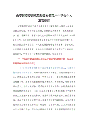 市委巡察反馈意见整改专题民主生活会个人发言提纲.docx