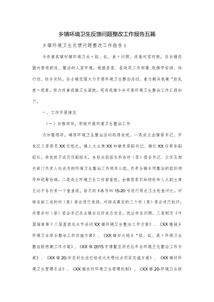 乡镇环境卫生反馈问题整改工作报告五篇.docx