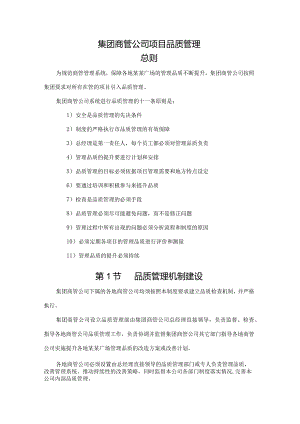 集团商管公司项目品质管理.docx