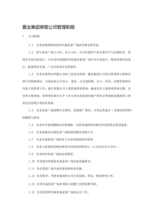 置业集团商管公司管理职能.docx