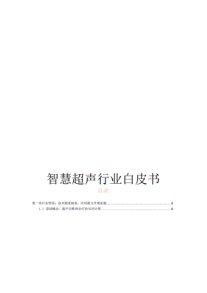 2024智慧超声行业白皮书.docx