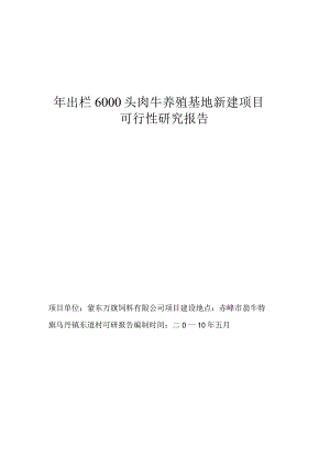 年出栏6000 头肉牛养殖基地新建项目可行性研究报告.docx