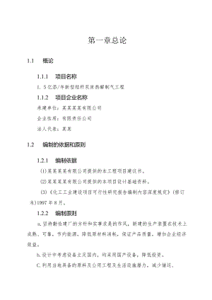 年产亿立方米新型秸秆双床热解制气工程可行性研究报告文件.docx